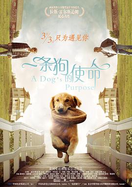 午夜免费视频网站